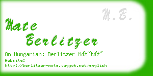 mate berlitzer business card